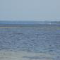 Panama City Bay and oil boom